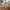 Topi Vintage Dad Hat Silent Floor photo 7