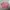 Crop TOP dusty pink photo 2