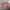 Crop TOP dusty pink photo 1