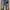 LEVIS 512 TAPERED FIT RIPPED DISTRESSED EMBROIDERY PATCH STR photo 2