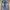 LEVIS 511 DISTRESSED WITH EMBROIDERY SLIM FIT DENIM JEANS