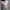crop top white simple photo 1