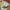 Topi Vintage Dad Hat Canadian Waste photo 7