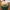 Topi Vintage Dad Hat Canadian Waste photo 1