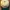 Topi Vintage Dad Hat Canadian Waste photo 8