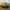 Topi Vintage Dad Hat Canadian Waste photo 3
