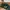 Topi Vintage Dad Hat Marathon Ashland photo 6