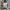 Baggy Wash