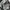 SLING TRAINING BAG UNDER ARMOUR UA FLEX photo 8