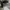 SLING TRAINING BAG UNDER ARMOUR UA FLEX photo 7
