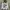 Y2k Impala Japan Poem Fur Zip Hoodie