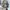 MEMENTO SQUARE SOFT KNIT GREY BLUE photo 2