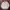 MUSINSA STANDARD Indie Minimalist Harrington jacket Pria cream photo 1