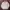 MUSINSA STANDARD Indie Minimalist Harrington Jacket Pria Cream