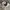 MUSINSA STANDARD Indie Minimalist Harrington jacket Pria cream photo 5