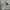 MUSINSA STANDARD Indie Minimalist Harrington jacket Pria cream photo 2
