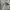 MUSINSA STANDARD Indie Minimalist Harrington Jacket Pria Cream