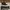  Converse Chuck Taylor All Star Lift Platform High PL