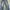 Lee rider 90s vintage grunge jeans photo 1