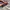 gorpcore montbell freney parka goretex jacket photo 6