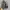 Nike AF1 Low photo 5