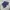 Casual Casual pants Pria navy black photo 7