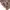 knitwear vintage 3D pattern photo 3