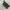 Coach Y2K Gorpcore Bags & purse Wanita navy gray photo 6