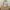 Coach Vintage Y2K Shoulder bag Wanita cream yellow photo 1