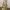 Coach Vintage Y2K Shoulder bag Wanita cream yellow photo 2