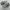 New Balance Minimalist Casual Sneakers Pria multicolor photo 1