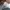 Adidas Indie Casual Sneakers Wanita white gray photo 6