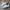 Adidas Indie Casual Sneakers Wanita white gray photo 1