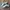 Adidas Indie Casual Sneakers Wanita white black photo 1