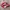 Puma Indie Casual Sneakers Pria white red photo 1