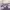Y2K Cami top Wanita purple photo 4
