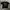 Mirani Graphic Tee photo 1