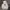 Dickies Streetwear Skater Hoody Pria white photo 1