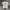 Dickies Camo Icon Logo Tee photo 1