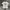 Dickies Camo Icon Logo Tee