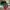 Jersey ICC Mens Cricket World Cup India 2023 Club Bangladesh photo 4