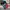 Jersey ICC Mens Cricket World Cup India 2023 Club Bangladesh photo 2