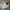 Adidas Emo Casual Sneakers Wanita white cream photo 1