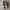 Salomon Gorpcore Sneakers Pria white tan photo 3