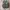 Salomon Gorpcore Sneakers Pria white tan photo 5