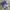 Tshirt Vintage Baseball Jay BuhnerColour Navy photo 1