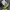 Sweater Moncler gamme bleu navy photo 7