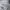 ABERCROMBIE & FITCH HOODIE LOGO SMALL BORDIR  photo 2