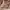 Birkenstock Taormina Oiled Leather Habana photo 6
