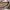 Birkenstock Taormina Oiled Leather Habana photo 3